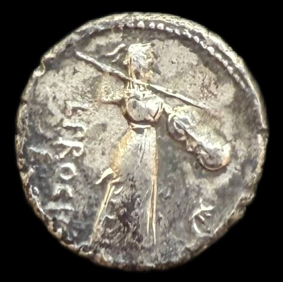 Denario republicano Procilia