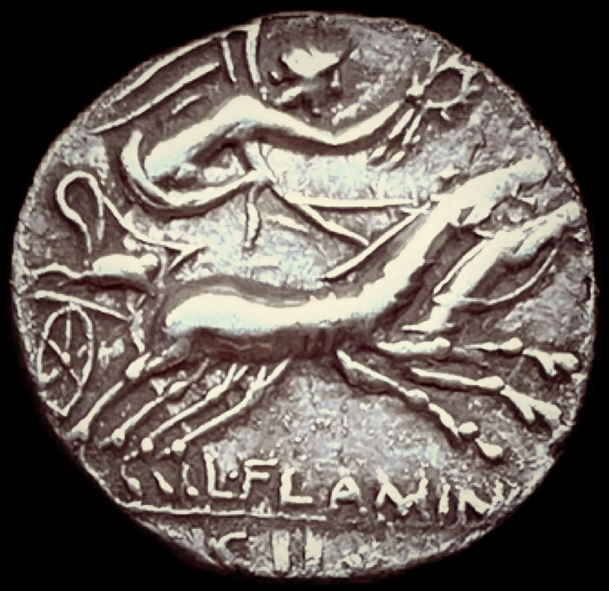Denario republicano Flaminia