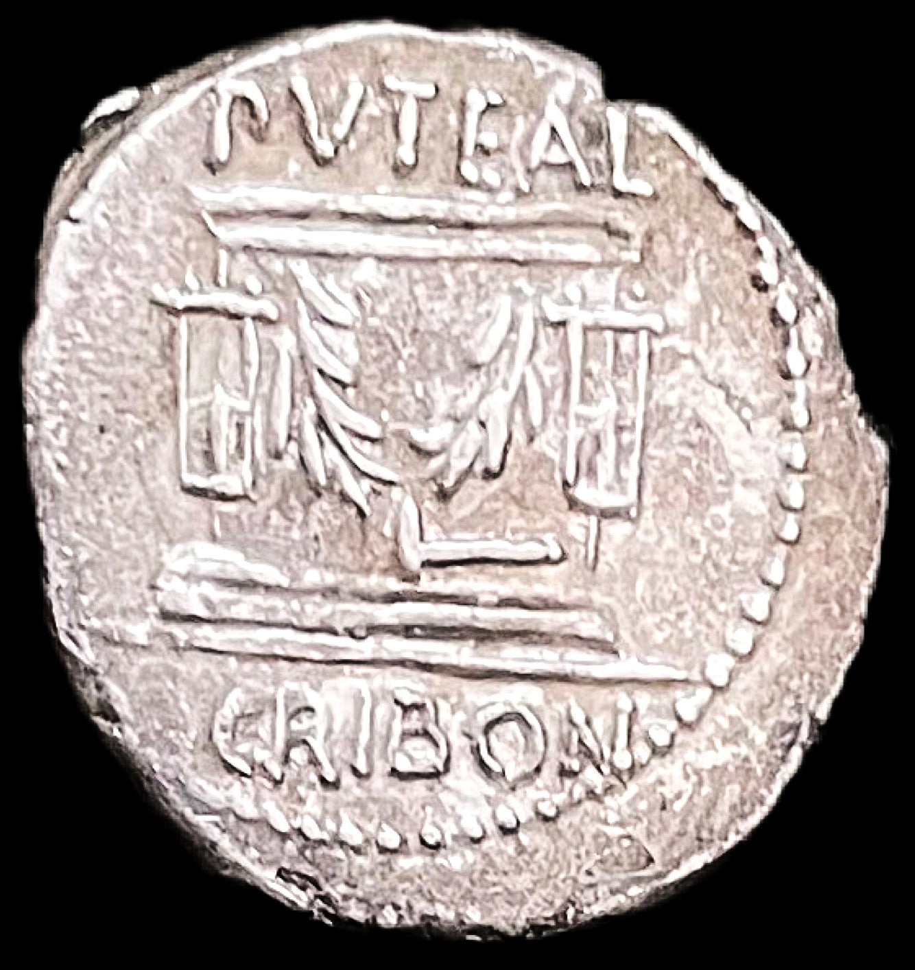 Denario Gens Scribonia