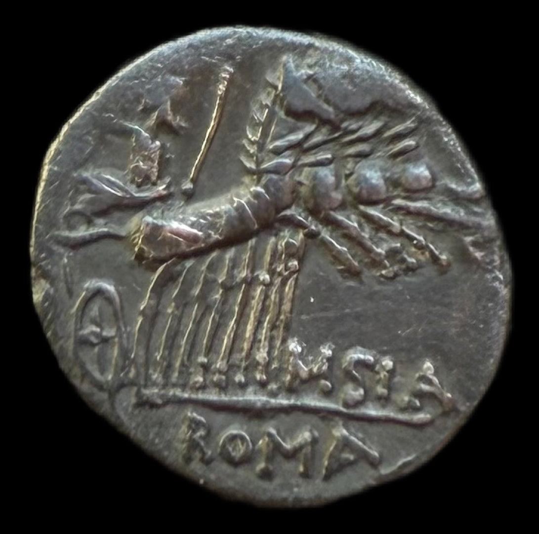 Denario Curtia / Domitia