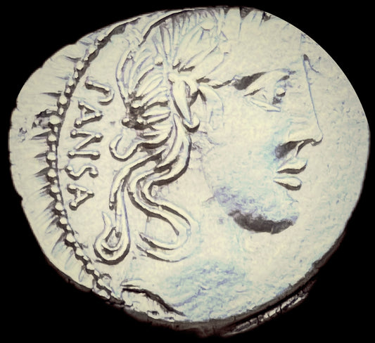 Denario Republicano Vibia