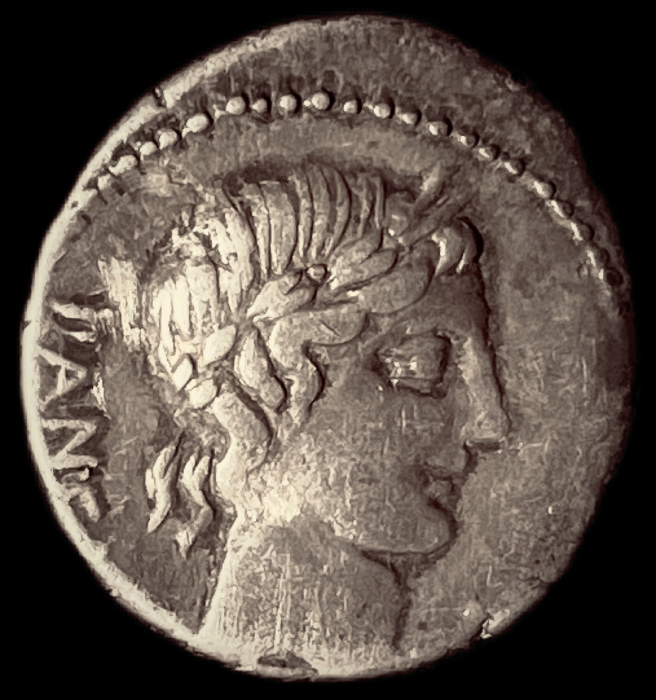 Denario republicano Gens Vibia