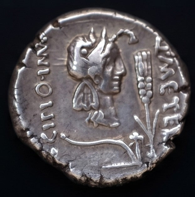 Denario Gens Caecilia África