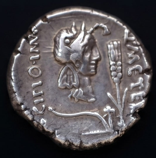 Denario Gens Caecilia África