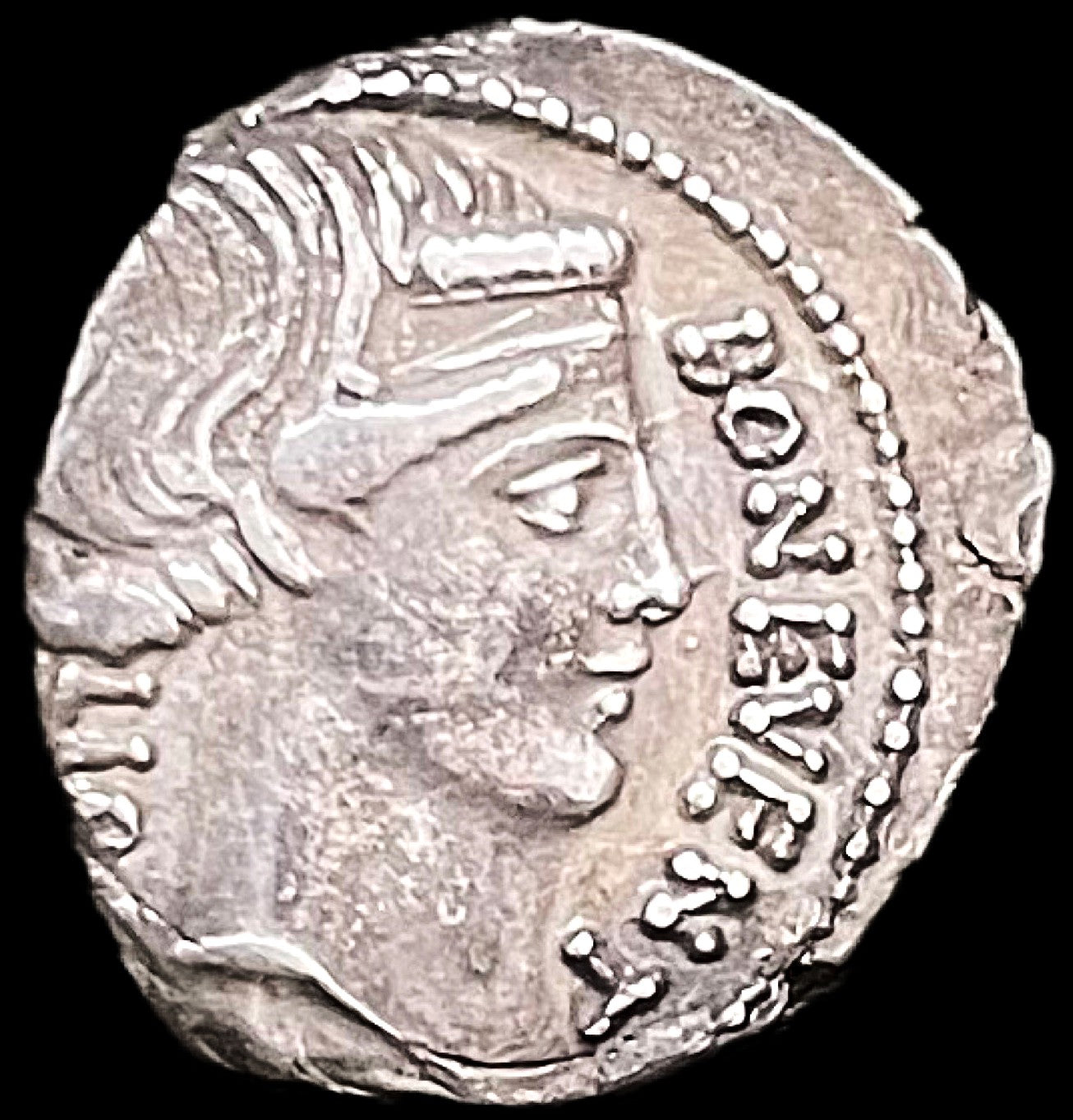 Denario Gens Scribonia