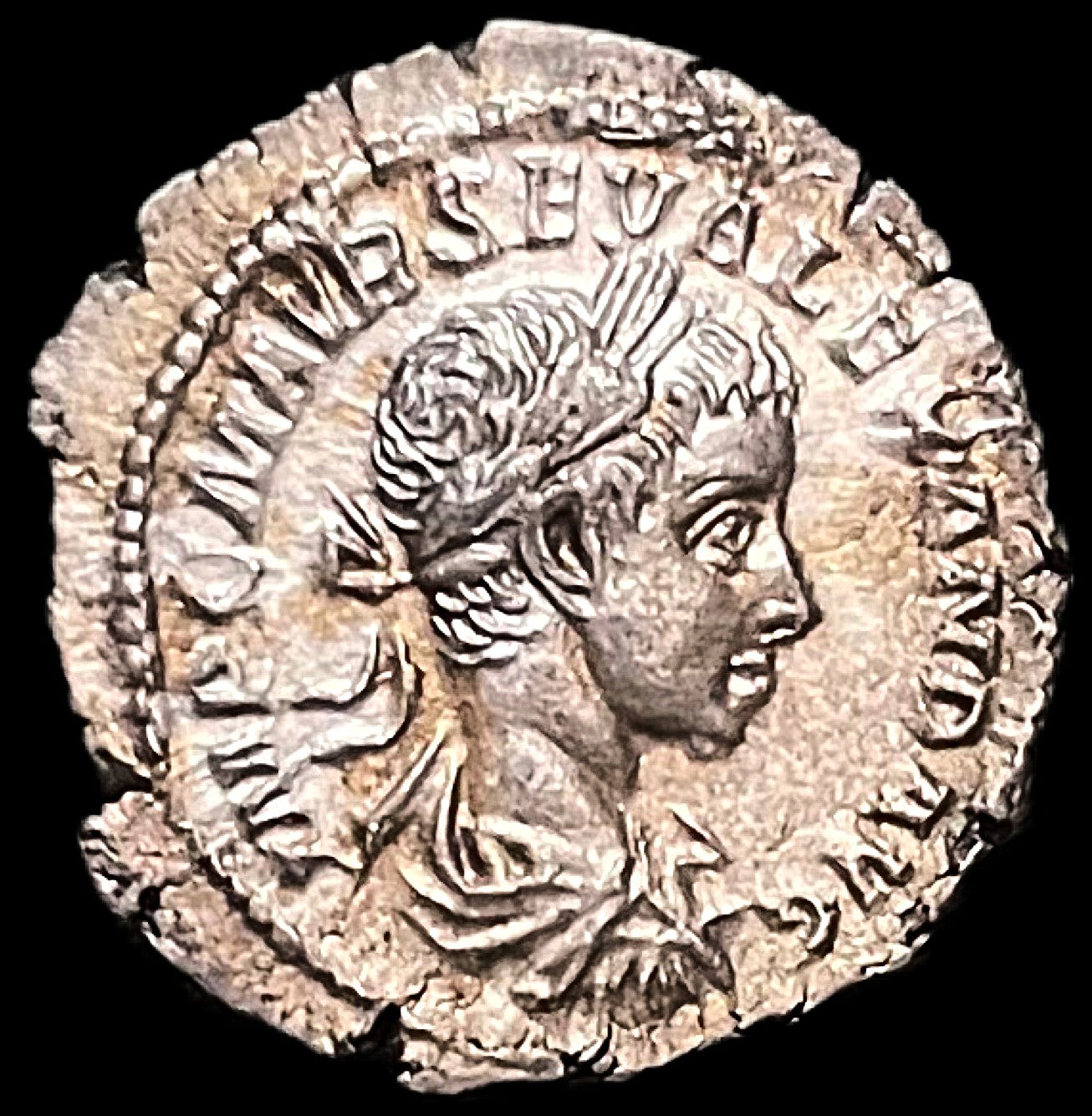 Denario Alexander Severo Roma