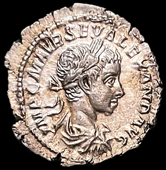 Denario Alexander Severo Roma