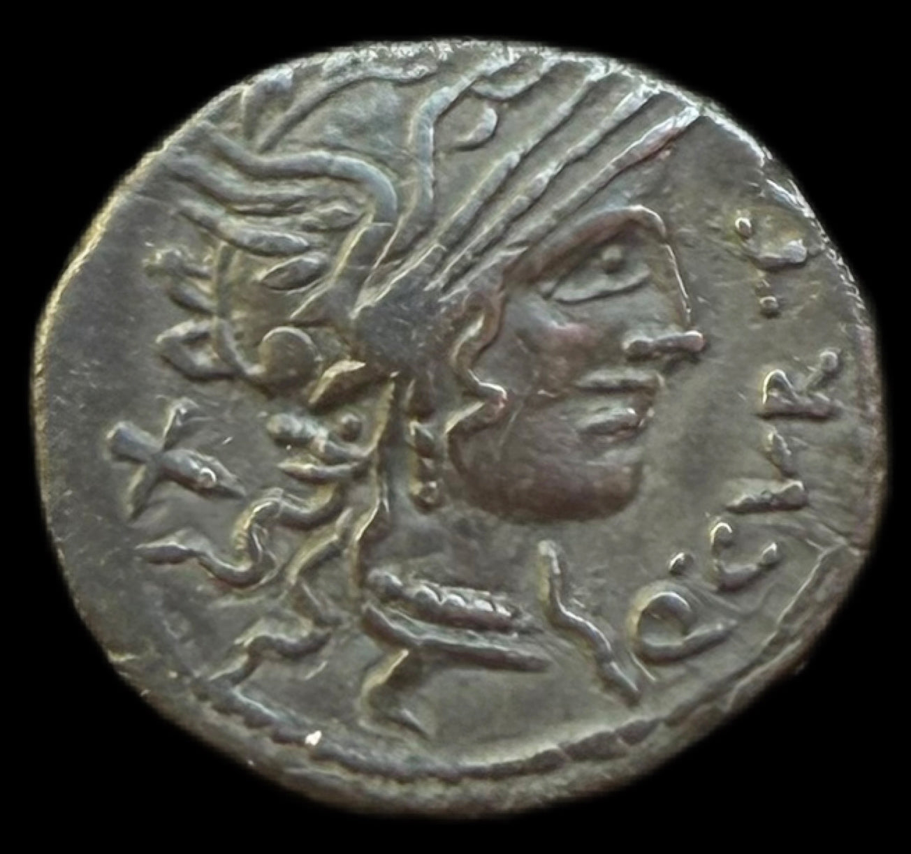 Denario Curtia / Domitia