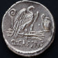 Denario Gens Cassia Roma