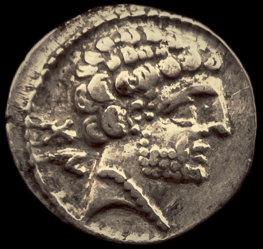 Denario Ibérico Bolscan
